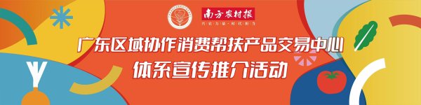 配资交易宝 足不出户买遍全国好货！广东消费帮扶交易中心小程序上线