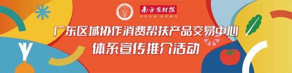 股融通 迎来“开门红”！广东区域协作消费帮扶产品交易中心部分专馆生意旺