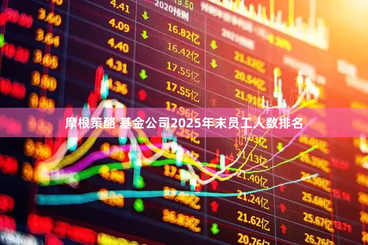 摩根策酪 基金公司2025年末员工人数排名