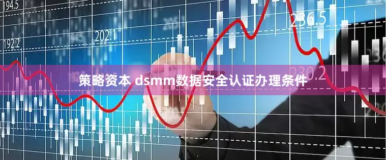 策略资本 dsmm数据安全认证办理条件
