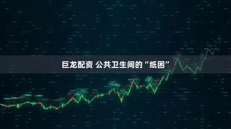 巨龙配资 公共卫生间的“纸困”